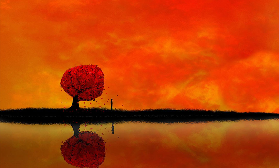 西青笙影微信朋友圈转发案例